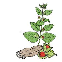 Load image into Gallery viewer, Ashwagandha Root 5g