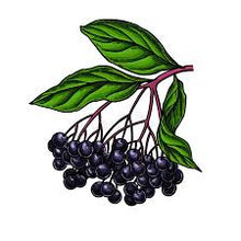 Load image into Gallery viewer, Elderberries 5g