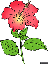 Load image into Gallery viewer, Hibiscus Flowers 3g