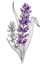 Load image into Gallery viewer, Lavender Flowers 3g