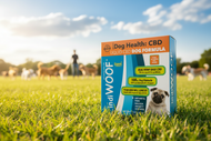 indiWoof CBD Dog Formula - Dog Park Scene