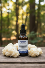Load image into Gallery viewer, Lion's Mane Tincture - Earthy Forest Scene