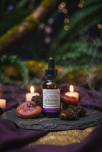Load image into Gallery viewer, Royal Combo Reishi Tincture Lifestyle Scene