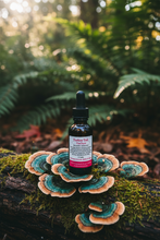 Load image into Gallery viewer, Turkey Tail Tincture - Foreground Close Up